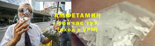 гидра Арсеньев