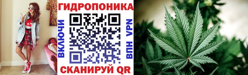 что такое   Семёнов  MEGA как войти  Каннабис SATIVA & INDICA 